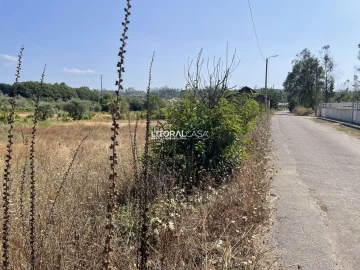 Terreno para Venda em Macinhata do Vouga