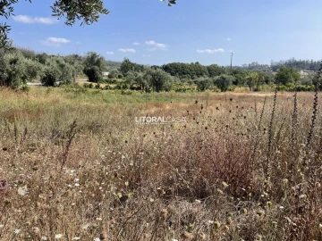 Terreno para Venda em Macinhata do Vouga