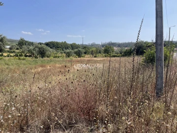 Terreno para Venda em Macinhata do Vouga