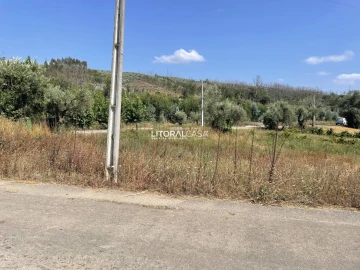 Terreno para Venda em Macinhata do Vouga