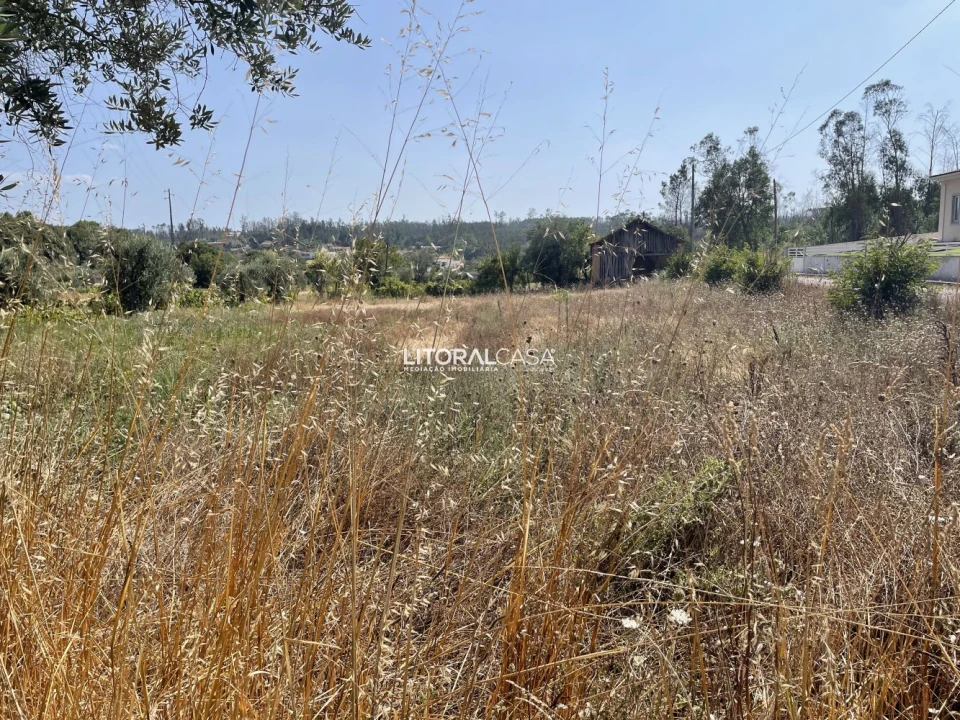 Terreno para Venda em Macinhata do Vouga Foto 12
