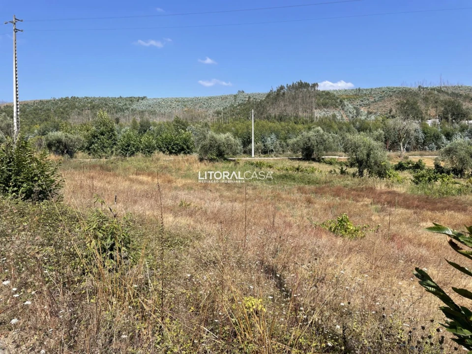 Terreno para Venda em Macinhata do Vouga Foto 4