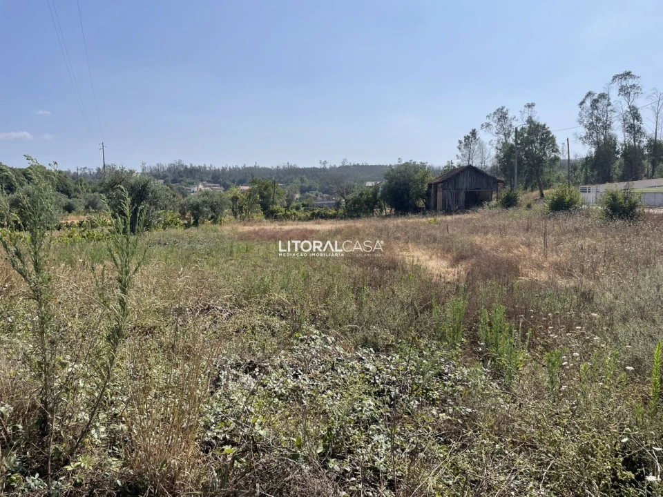 Terreno para Venda em Macinhata do Vouga Foto 11