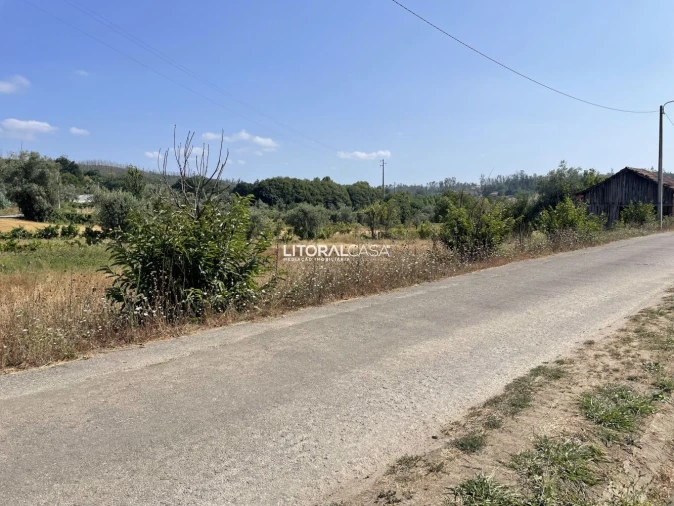 Terreno para Venda em Macinhata do Vouga Foto 9