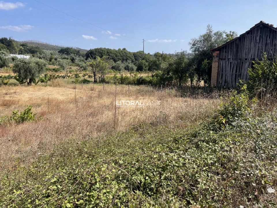 Terreno para Venda em Macinhata do Vouga Foto 5
