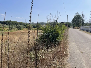 Terreno para Venda em Macinhata do Vouga