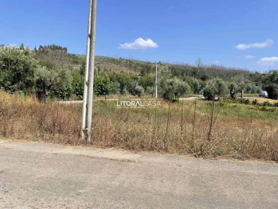 Terreno para Venda em Macinhata do Vouga Foto 3