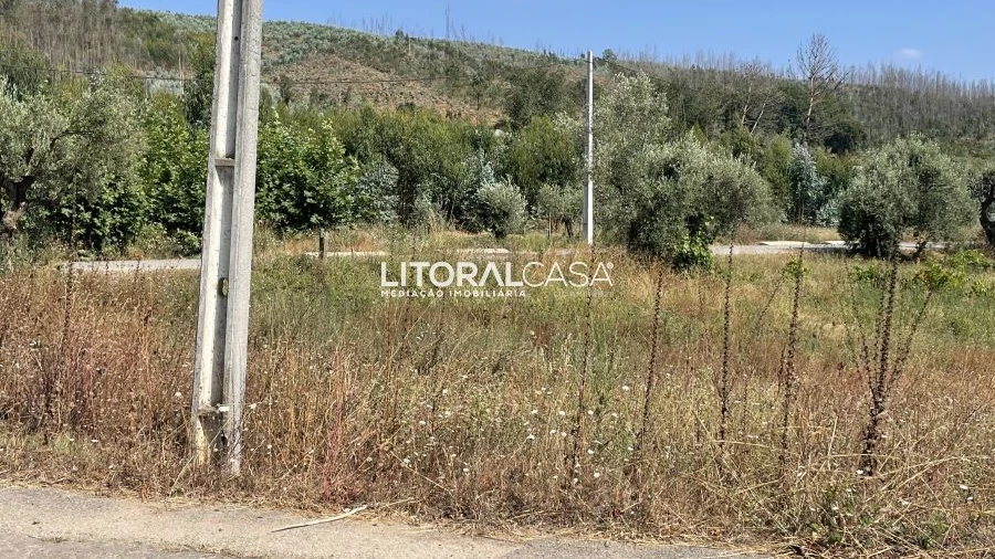Terreno para Venda em Macinhata do Vouga