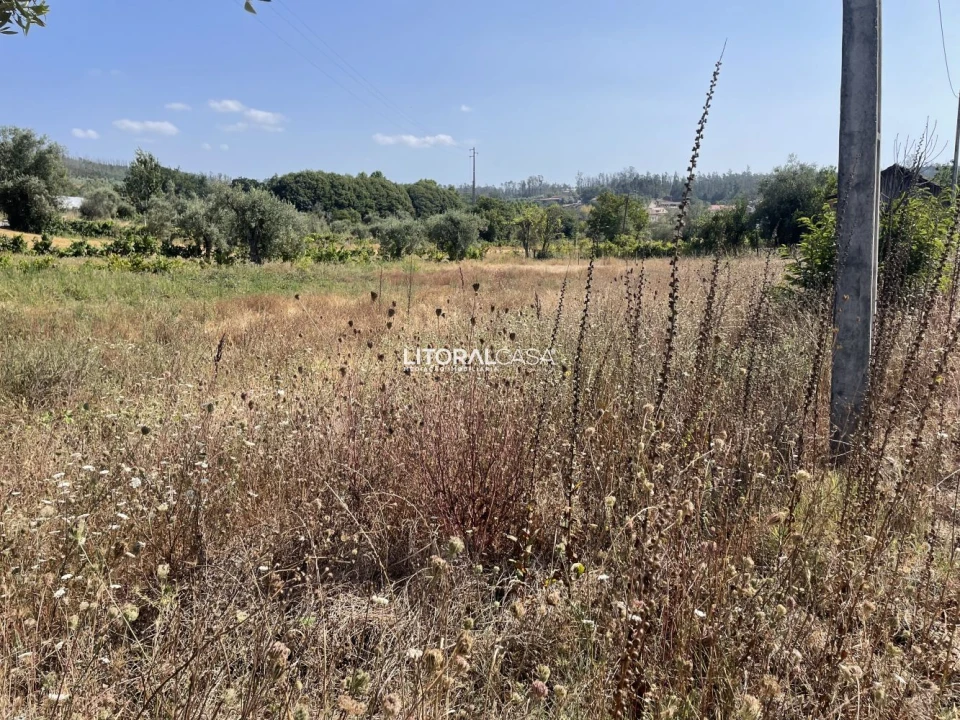 Terreno para Venda em Macinhata do Vouga Foto 6