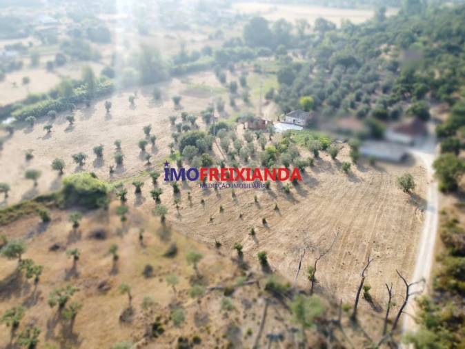 Moradia T2 para Venda em São João Baptista e Santa Maria dos Olivais Foto 29