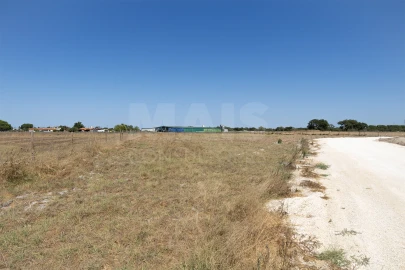 Terreno para Venda em Samora Correia