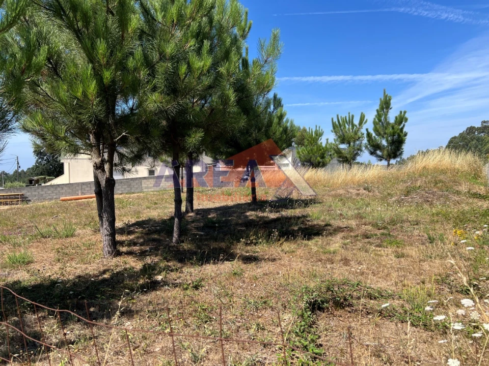 Terreno para Venda em Escariz Foto 4
