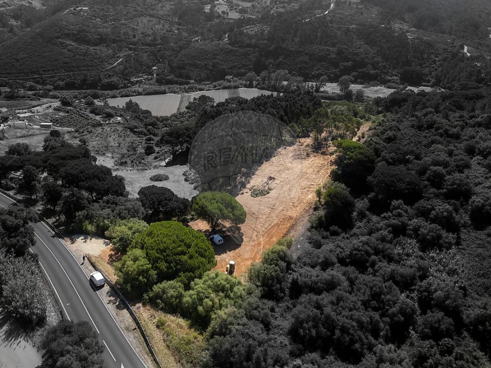 Terreno para Venda em Carvoeira Foto 1