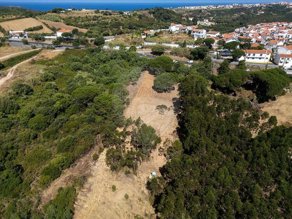 Terreno para Venda em Carvoeira Foto 6