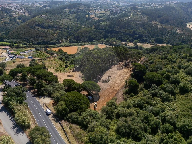 Terreno para Venda em Carvoeira Foto 2