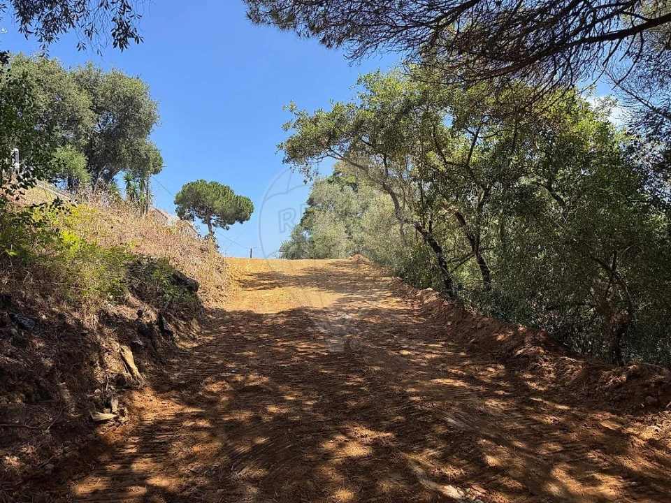 Terreno para Venda em Carvoeira Foto 3