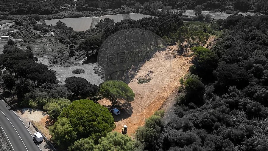 Terreno para Venda em Carvoeira