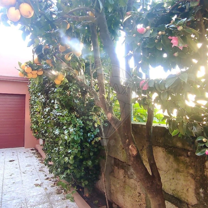 Apartamento T3 para Arrendamento em Matosinhos e Leça da Palmeira Foto 10