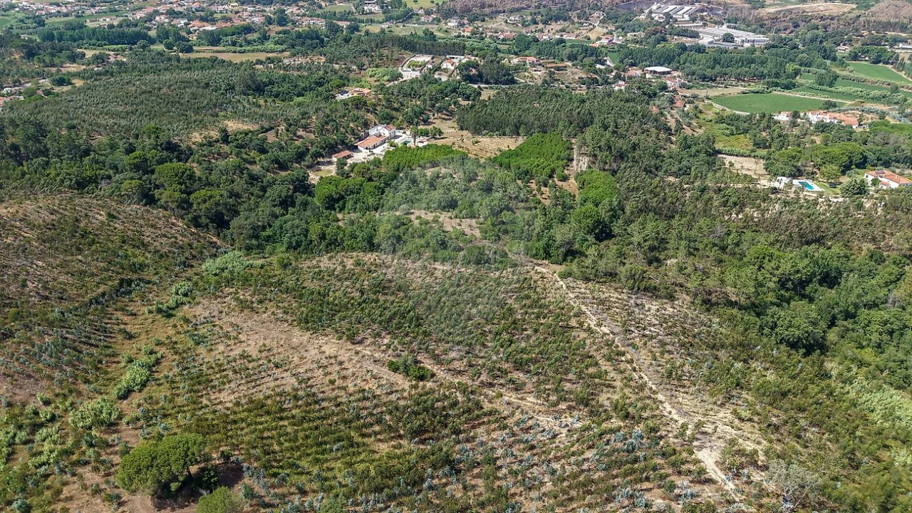 Terreno para Venda em São João da Ribeira e Ribeira de São João Foto 5