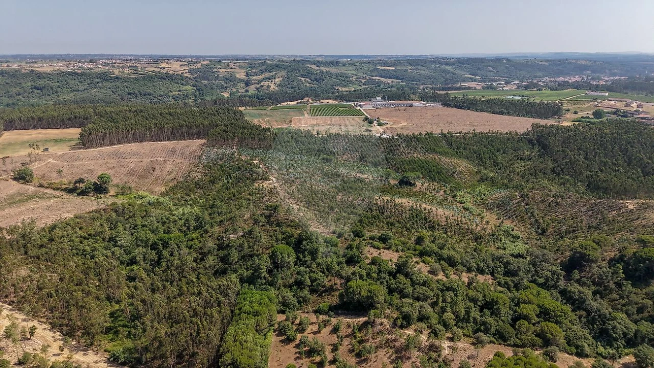 Terreno para Venda em São João da Ribeira e Ribeira de São João Foto 16