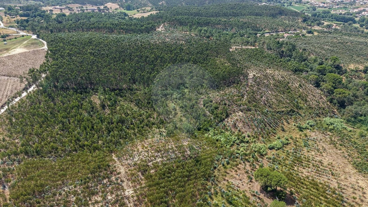 Terreno para Venda em São João da Ribeira e Ribeira de São João Foto 3