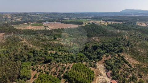 Terreno para Venda em São João da Ribeira e Ribeira de São João