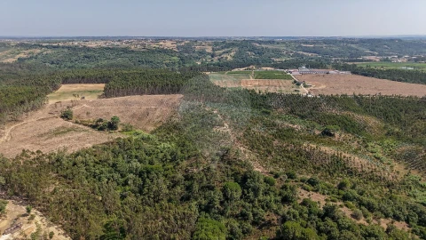 Terreno para Venda em São João da Ribeira e Ribeira de São João