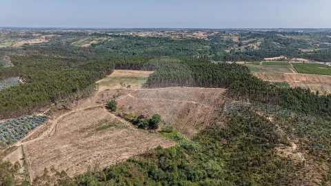 Terreno para Venda em São João da Ribeira e Ribeira de São João