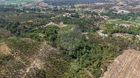 Terreno para Venda em São João da Ribeira e Ribeira de São João