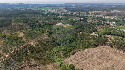 Terreno para Venda em São João da Ribeira e Ribeira de São João