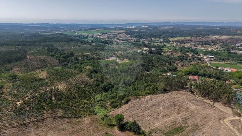 Terreno para Venda em São João da Ribeira e Ribeira de São João