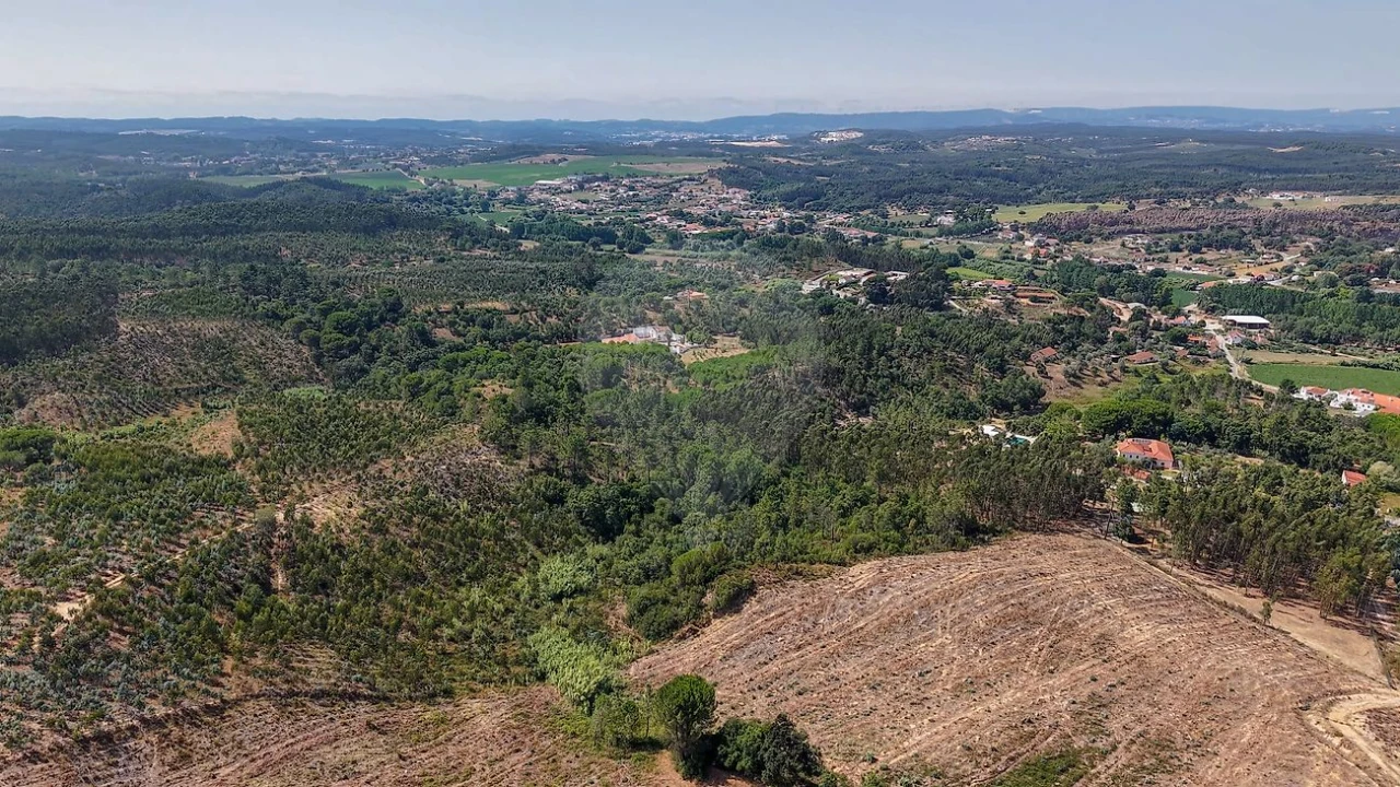 Terreno para Venda em São João da Ribeira e Ribeira de São João Foto 1