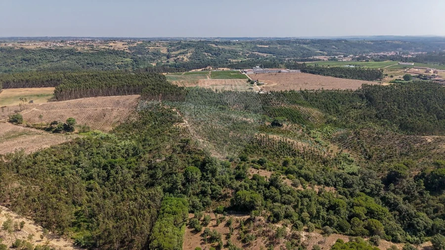 Terreno para Venda em São João da Ribeira e Ribeira de São João Foto 16