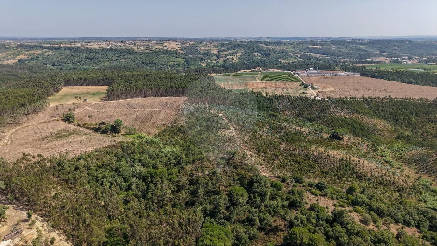Terreno para Venda em São João da Ribeira e Ribeira de São João Foto 15