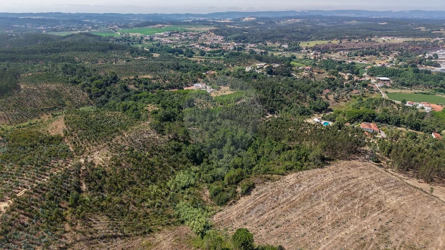 Terreno para Venda em São João da Ribeira e Ribeira de São João Foto 6