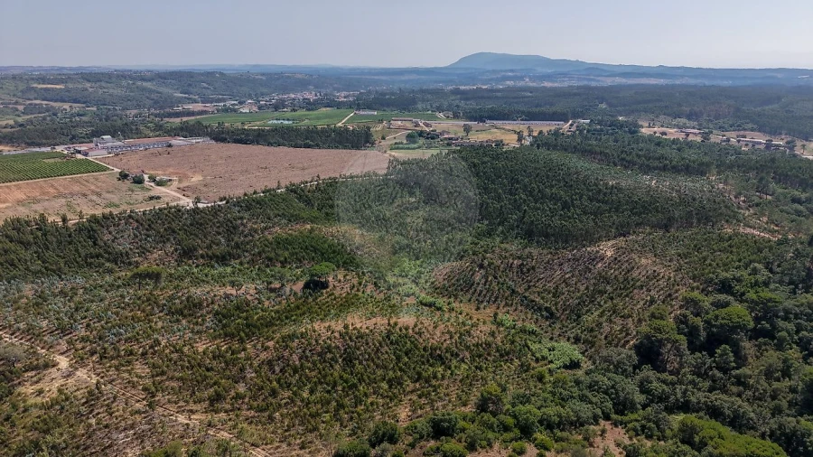 Terreno para Venda em São João da Ribeira e Ribeira de São João Foto 11
