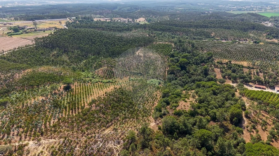 Terreno para Venda em São João da Ribeira e Ribeira de São João Foto 2