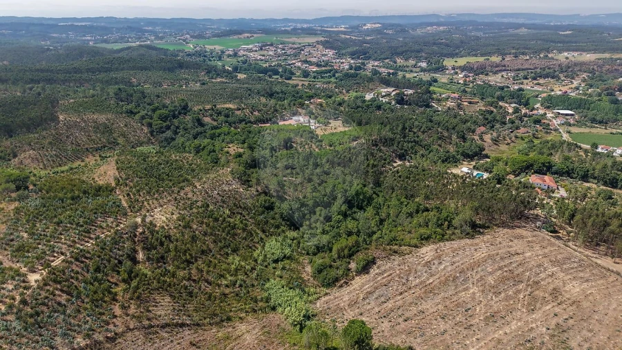 Terreno para Venda em São João da Ribeira e Ribeira de São João Foto 10