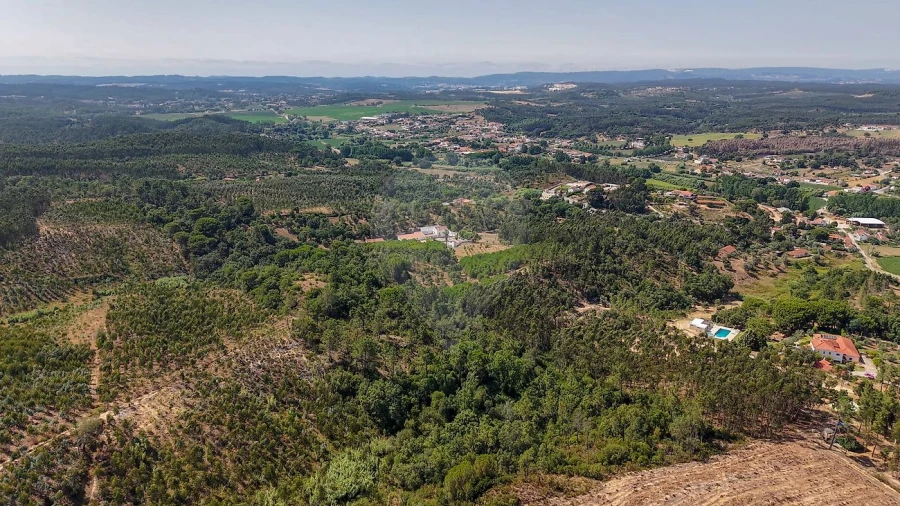 Terreno para Venda em São João da Ribeira e Ribeira de São João Foto 9