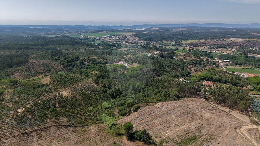 Terreno para Venda em São João da Ribeira e Ribeira de São João Foto 8
