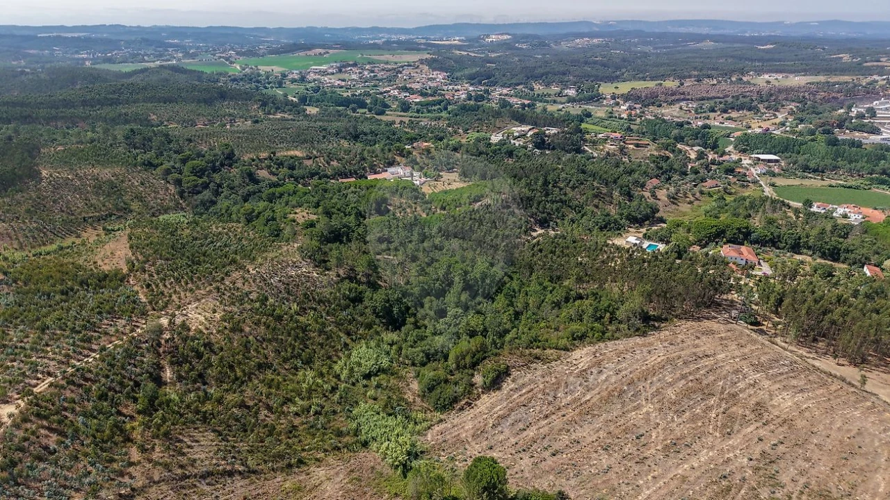 Terreno para Venda em São João da Ribeira e Ribeira de São João Foto 6