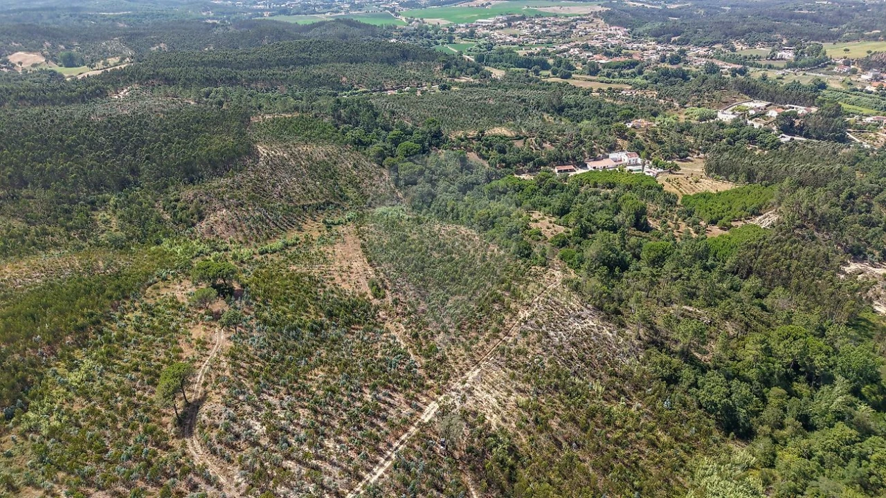 Terreno para Venda em São João da Ribeira e Ribeira de São João Foto 7