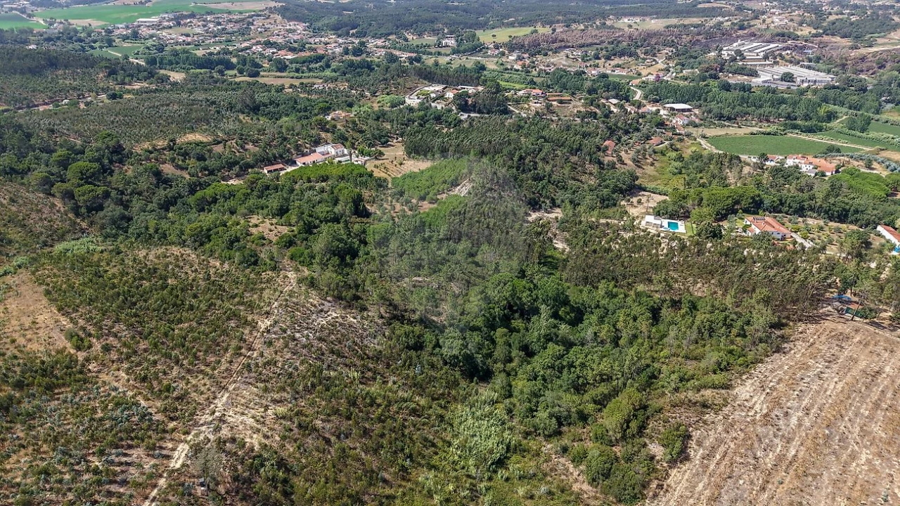 Terreno para Venda em São João da Ribeira e Ribeira de São João Foto 4