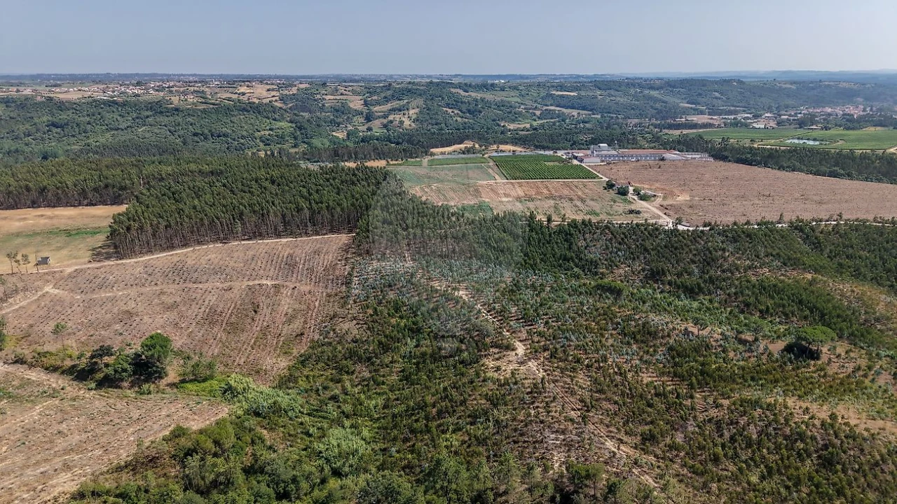 Terreno para Venda em São João da Ribeira e Ribeira de São João Foto 12