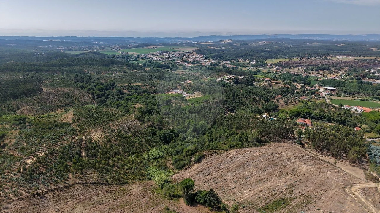 Terreno para Venda em São João da Ribeira e Ribeira de São João Foto 8