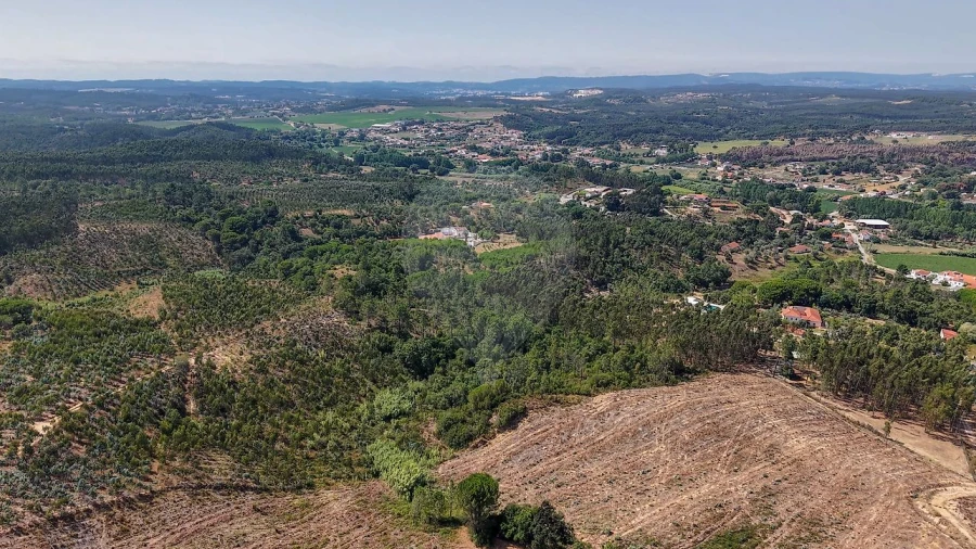 Terreno para Venda em São João da Ribeira e Ribeira de São João
