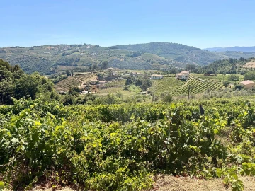 Quinta T0 para Venda em Sedielos