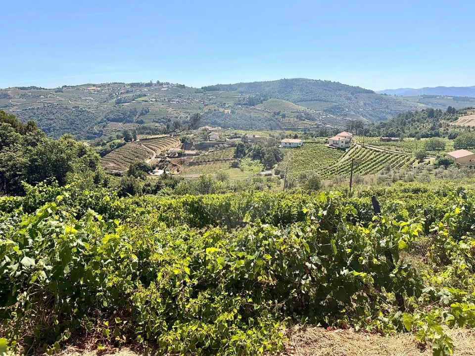 Quinta T0 para Venda em Sedielos Foto 19
