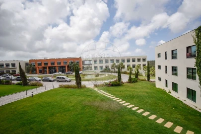 Apartamento T2 para Venda em Santa Maria e São Miguel, São Martinho, São Pedro Penaferrim