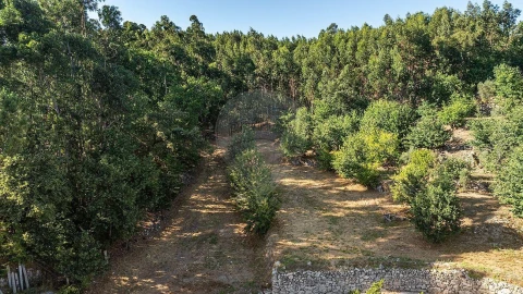 Moradia T2 para Venda em Fafe